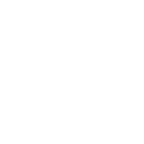 Dr. José Alberto Ayón Martínez